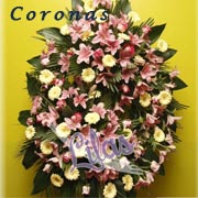 Coronas